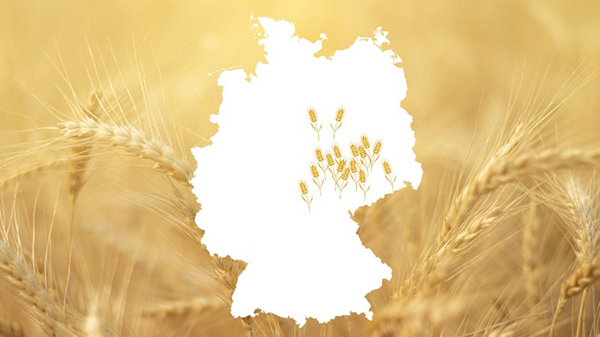 Eine goldene Kornfeldlandschaft umrahmt eine weiße Silhouette Deutschlands mit Ährensymbolen.
