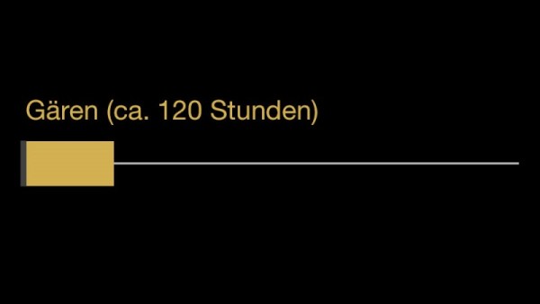 Ein gelber Balken markiert eine Zeitspanne von circa 120 Stunden auf einer Skala.