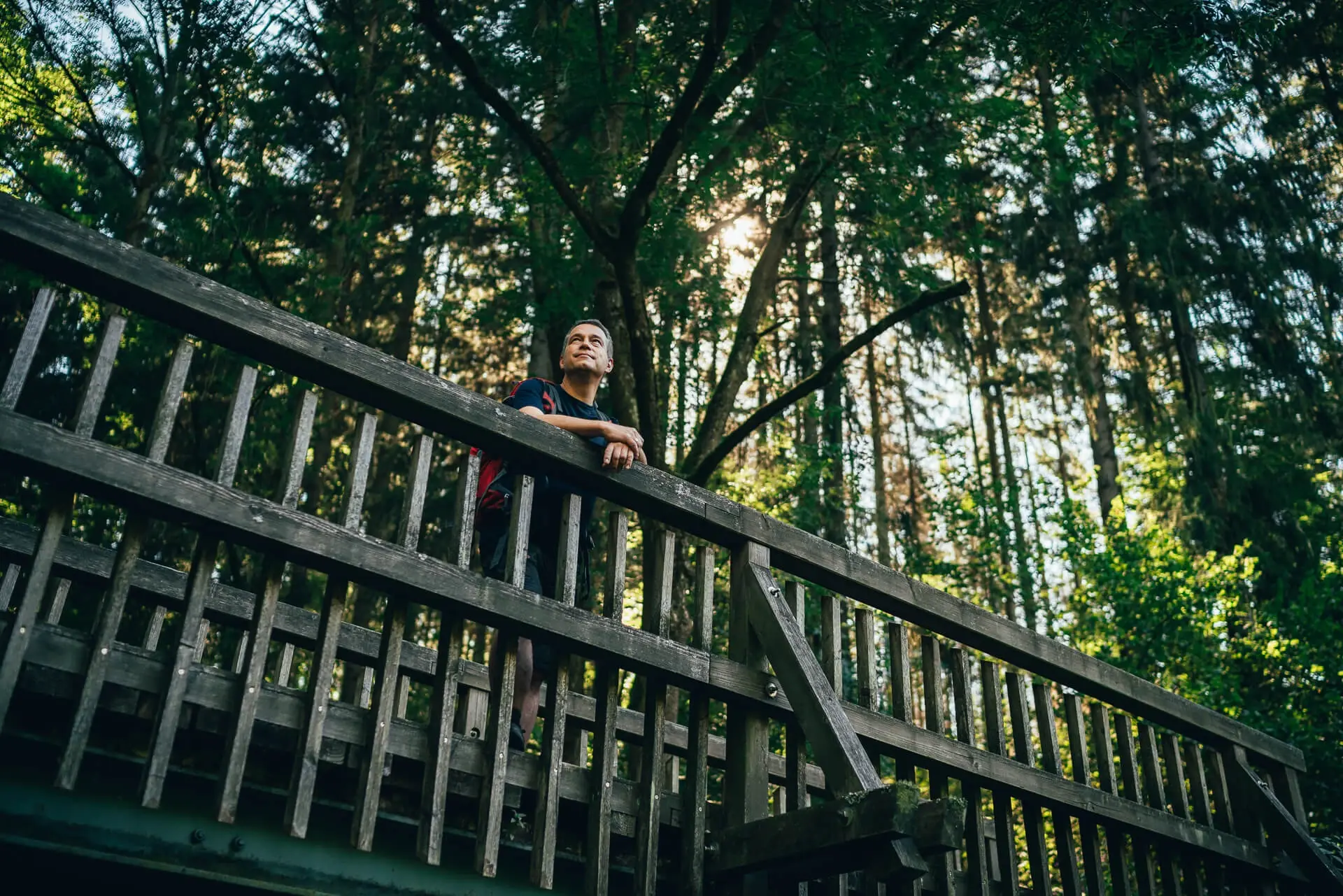 Ein Mann lehnt an einem hölzernen Geländer eines Waldstegs und schaut in die Sonne.