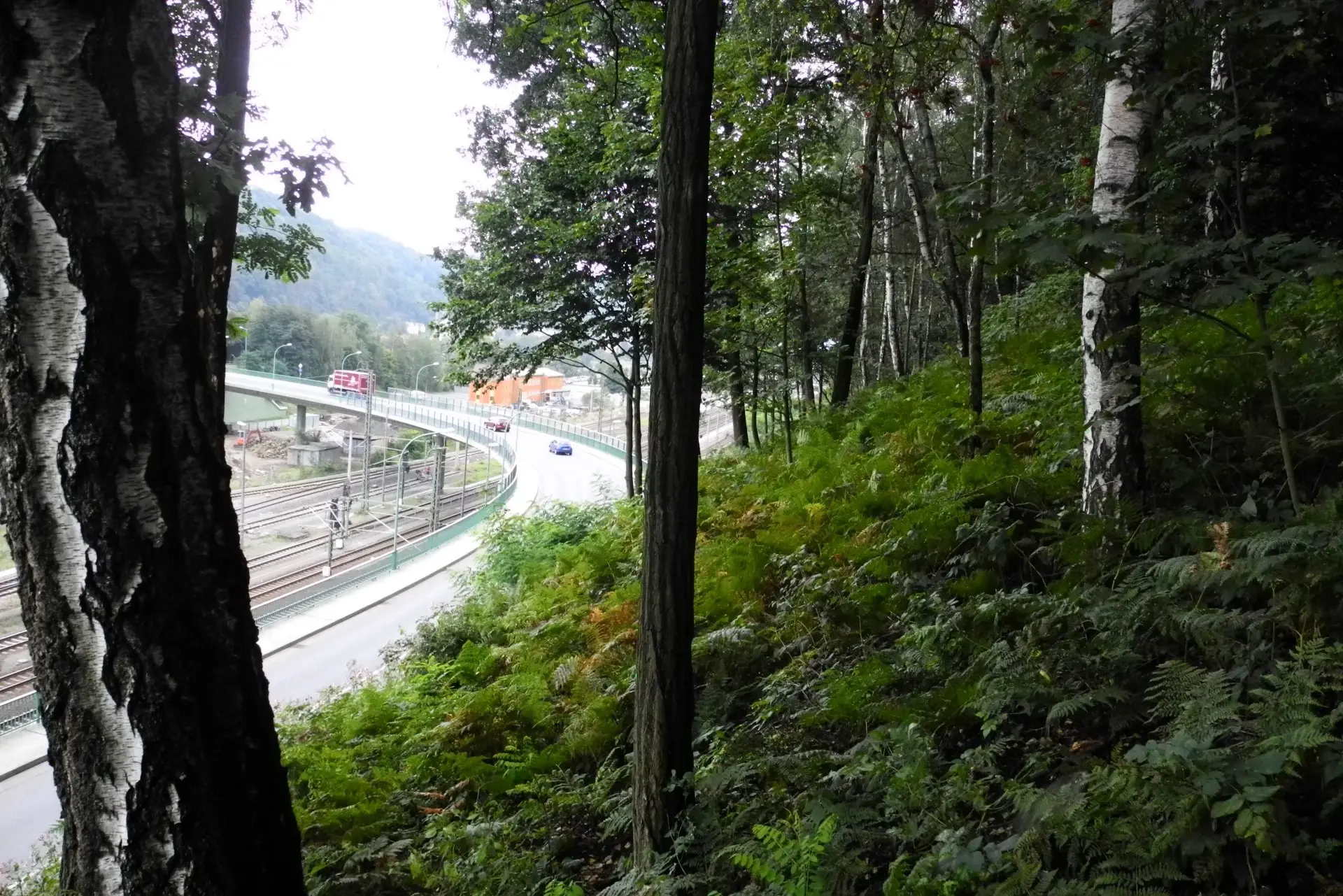 Blick durch Bäume auf eine Brücke mit fahrenden Autos und eine Bahngleise daneben.
