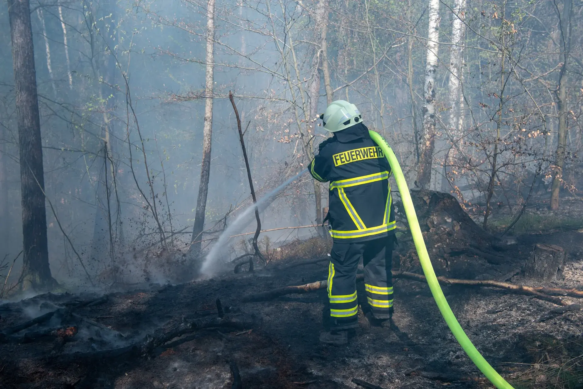 Ein Feuerwehrmann löscht einen Waldbrand mit einem Schlauch. Er trägt eine Schutzuniform und steht in einem rauchigen Bereich.