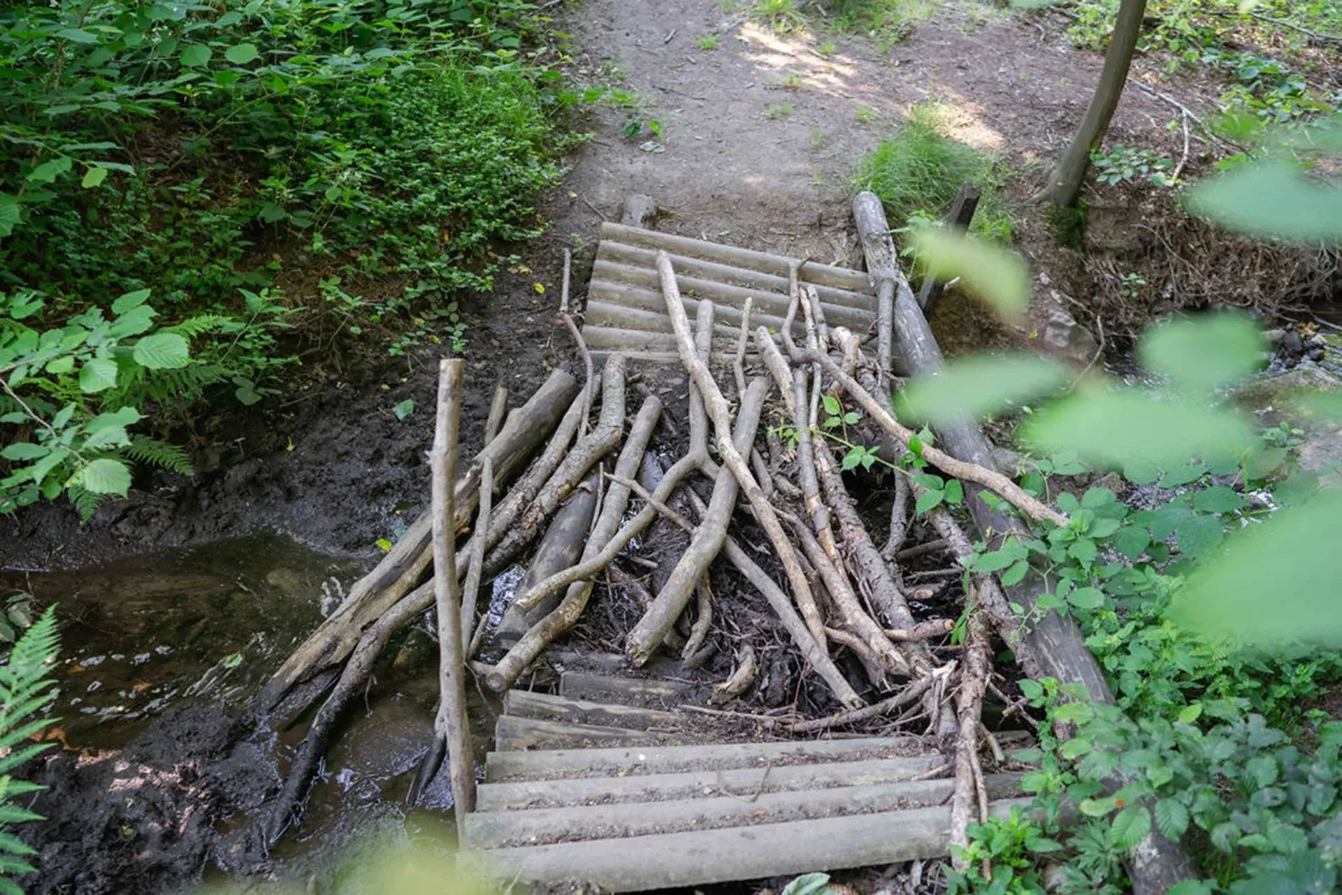Eine einfache Holzbrücke führt über einen kleinen Bach im Wald.