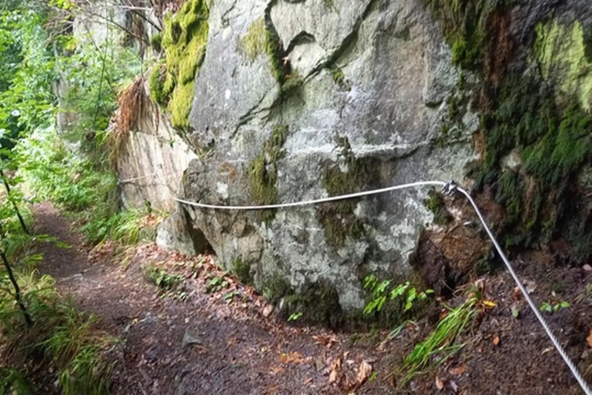 Ein Wanderweg führt entlang einer großen, moosbewachsenen Felswand mit einem Stahlseil als Halterung.